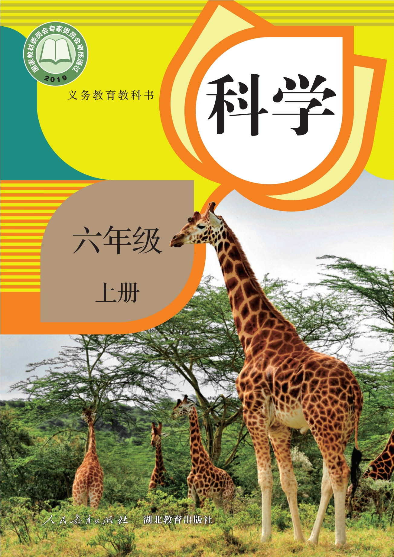 义务教育教科书·科学六年级上册