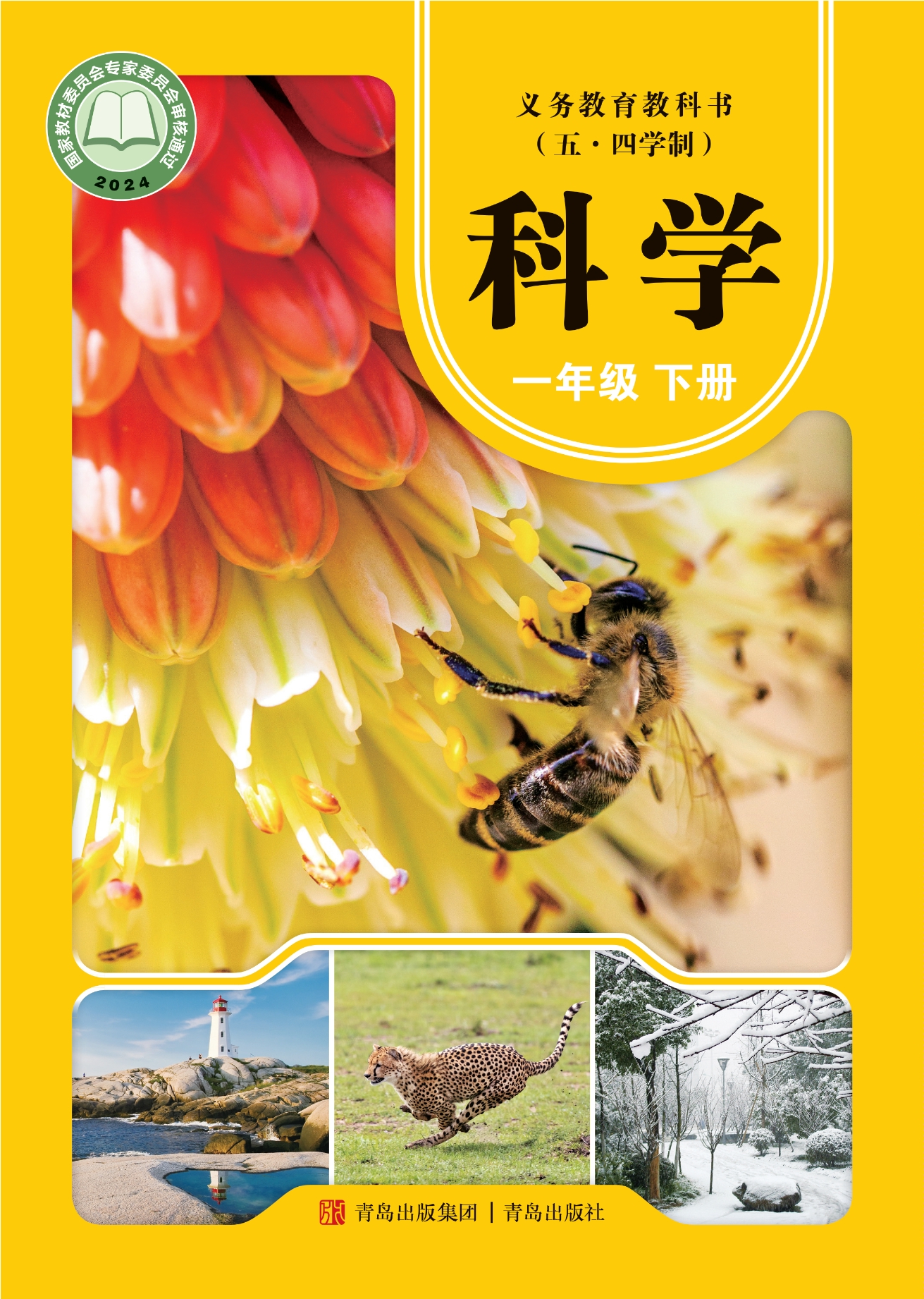 （根据2022年版课程标准修订）义务教育教科书（五•四学制）·科学·一年级下册