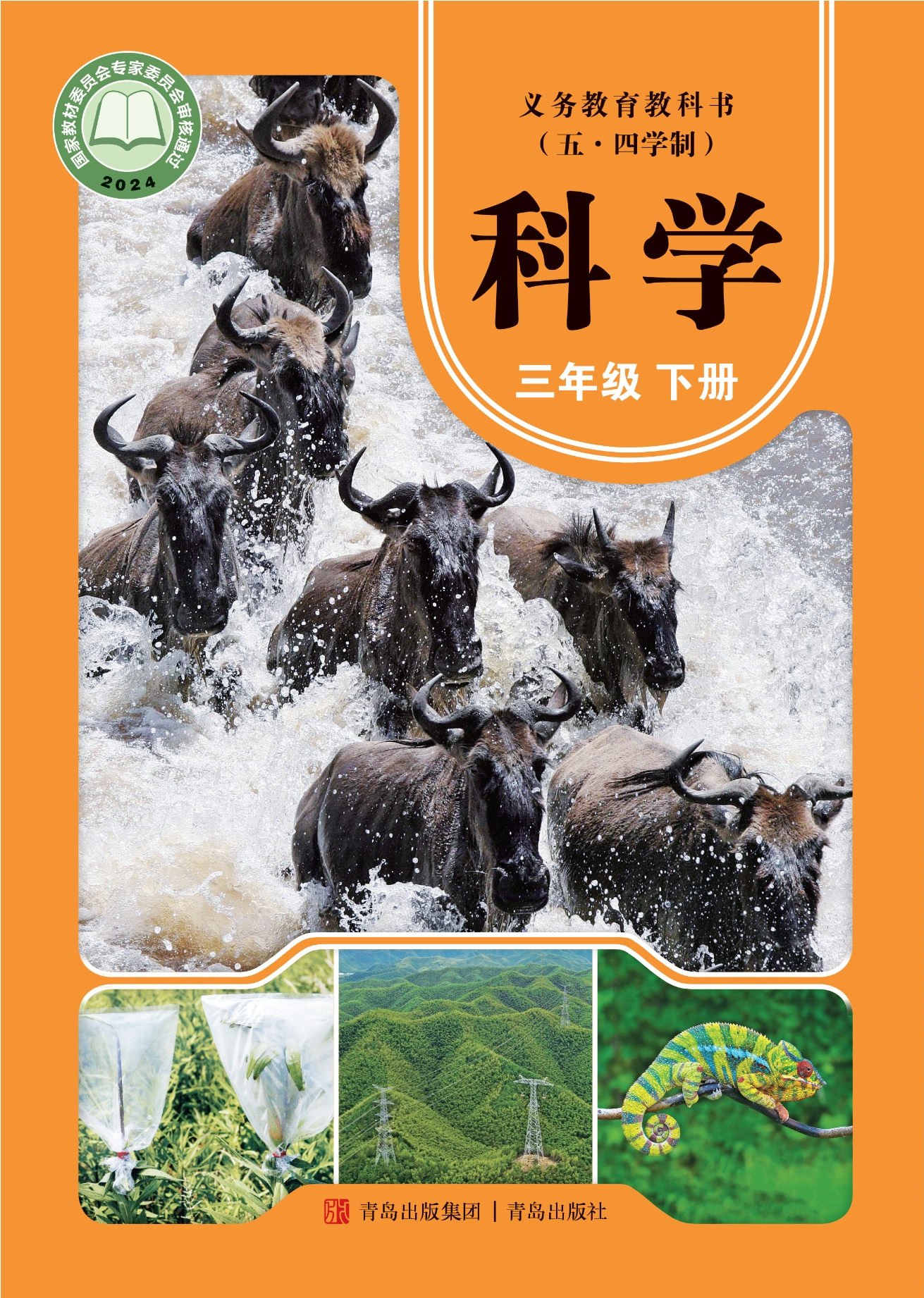 （根据2022年版课程标准修订）义务教育教科书（五•四学制）·科学三年级下册